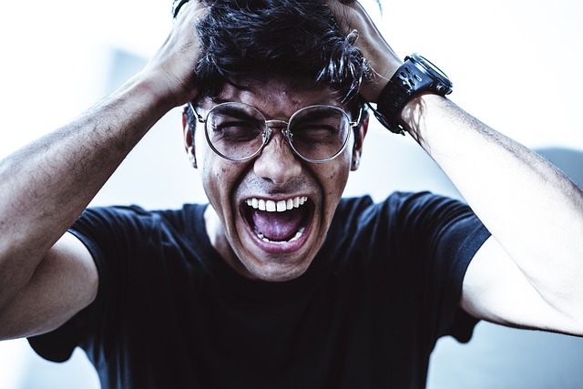 angry-6319463_640 Buka